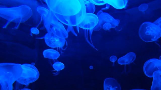 Релакс музыка, спокойная музыка для души смотреть онлайн