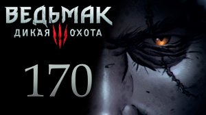 The Witcher 3 / Ведьмак 3 - Поиск сокровищ; Железная дева, Цена чести [#170] | PC (2017 г.)