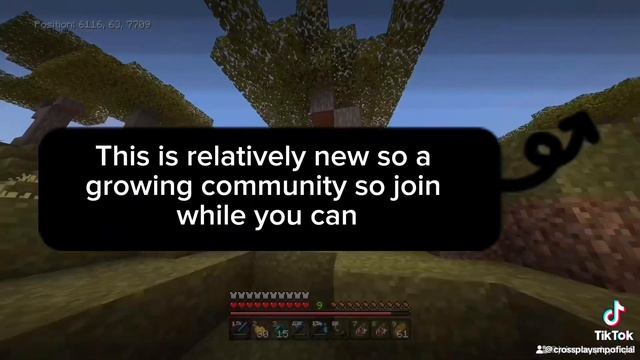 Crossplay smp now open ( minecraft smp for bedrock and Java ) смотреть онлайн