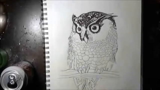 How To Draw A Owl In Pen And Ink смотреть онлайн