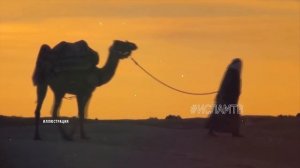 ПРОЧИТАЙТЕ ЭТО ДУА ПЕРЕД СНОМ, АЛЛАХ ПРОСТИТ ВСЕ ГРЕХИ И ШАЙТАН БУДЕТ ПЛАКАТЬ! Дуа на ночь