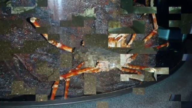 Таиланд Бангкок отель Амари Боливард, аквариум смотреть онлайн