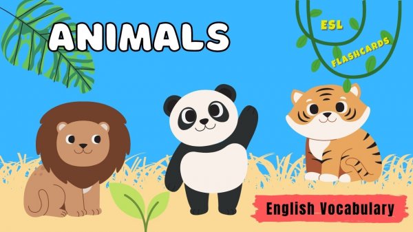 Wild Animals Vocabulary Flash Cards (English lessons for kids) part 1