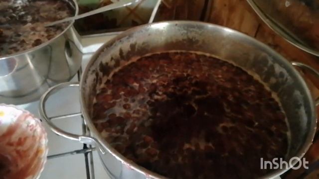 Собираем лесную клубнику. Начинаем заготовки на зиму. смотреть онлайн