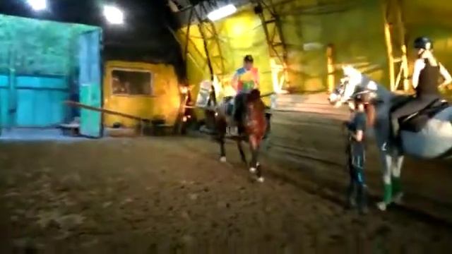 Николай и Фися, конкур смотреть онлайн