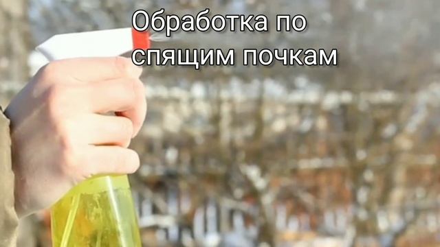 Листовая галловая тля смотреть онлайн