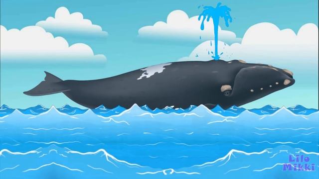 О китах детям. Какие бывают киты. смотреть онлайн