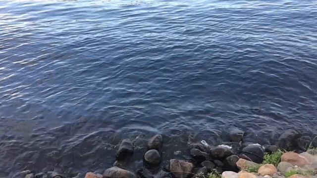 Москва река смотреть онлайн