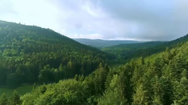 Осенний саксофон смотреть онлайн