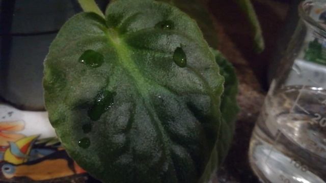 То, чем можно заменить Прилипатель, Растекатель или Адъювант. смотреть онлайн