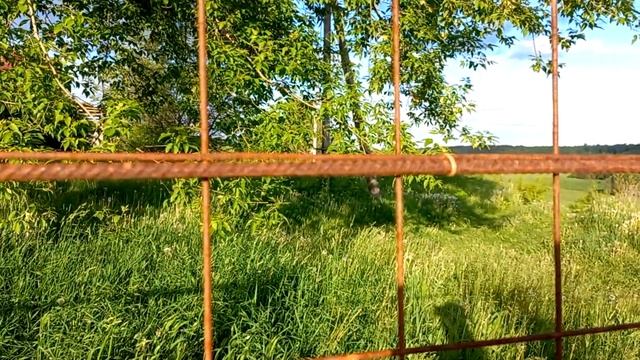 Забор с освещением из асбестоцементных труб. Плафон из стеклянных банок для варенья! смотреть онлайн