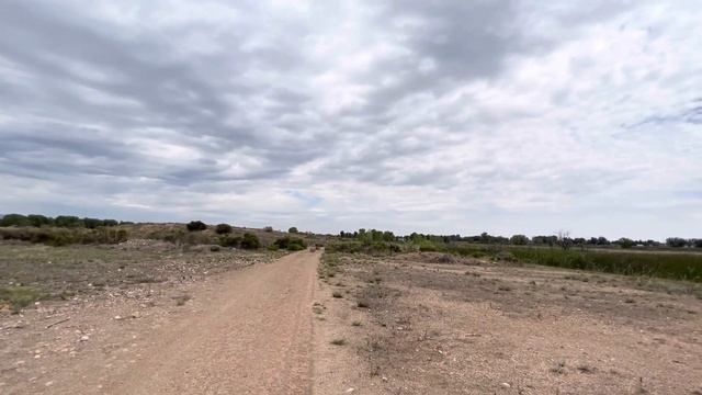 #153) Эмигрировал - значит предатель! смотреть онлайн