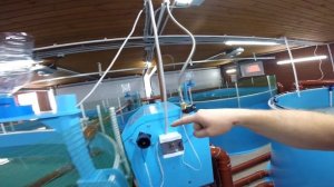 Система верхнего забора воды в УЗВ. Как работает.