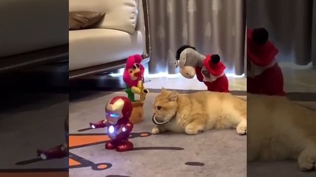 Сумасшедший дом смотреть онлайн