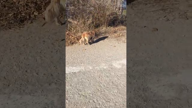 Freeway At The Lake 3 смотреть онлайн