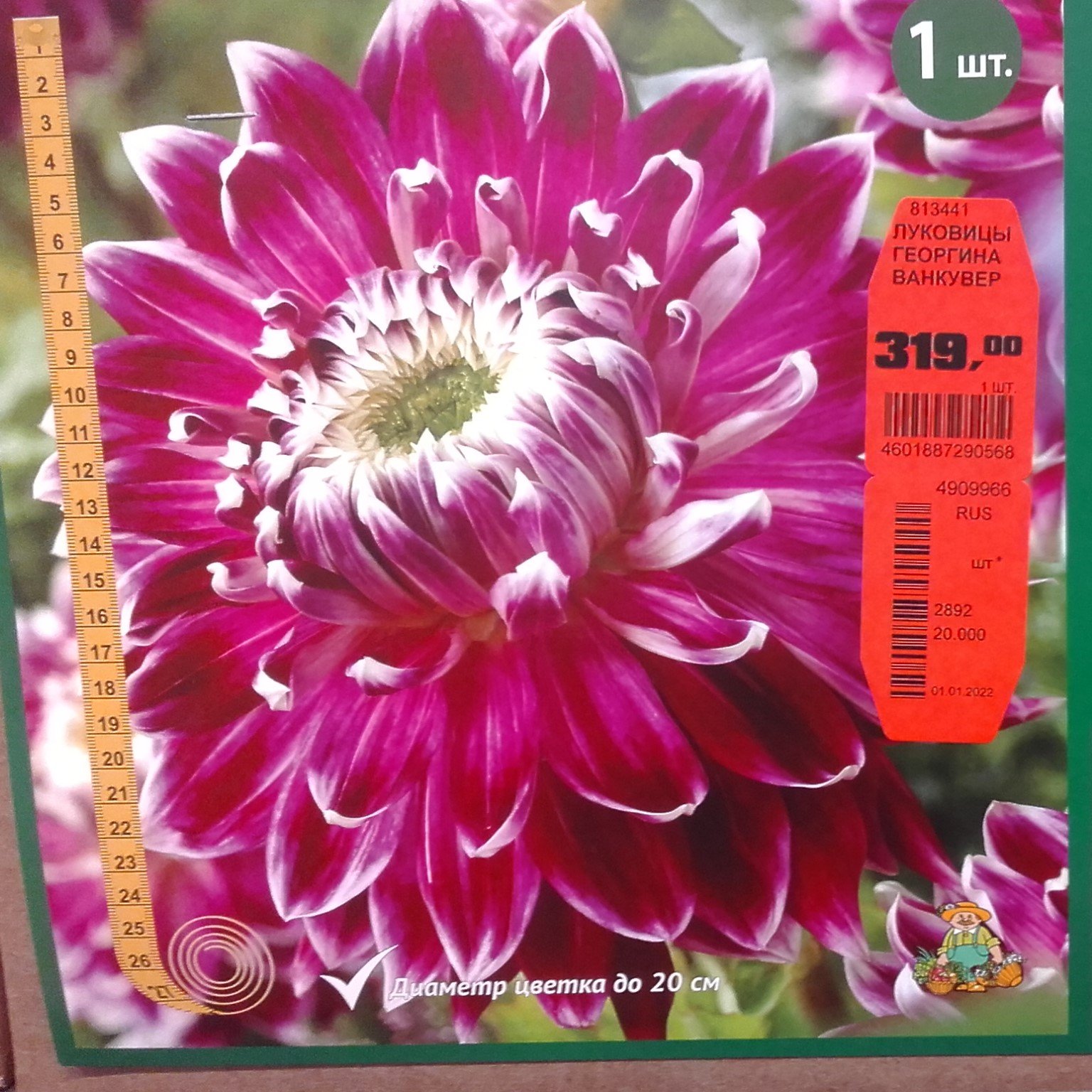 ДАВАЙТЕ ВМЕСТЕ ЗЕМЛЮ УКРАШАТЬ! ЦВЕТЫ В ОБИ !!! (Продолжение) смотреть онлайн