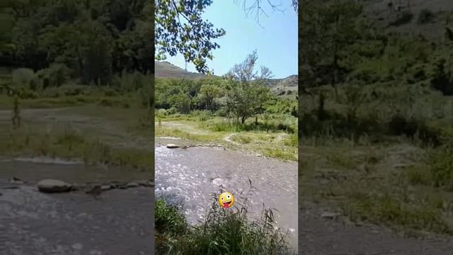 горная речка в Дагестане 🌊⛰️🤪 #мем #мем #вайны #а4 #кавказ #красота #горы #книги #красивыеместа смотреть онлайн