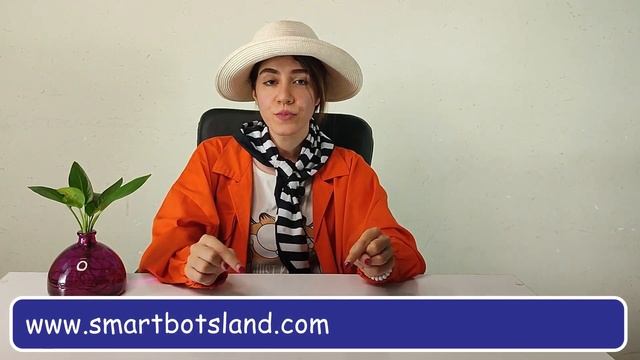 Online shop by Telegram bot смотреть онлайн