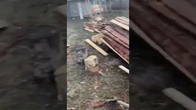 Красивый не дорогой забор смотреть онлайн