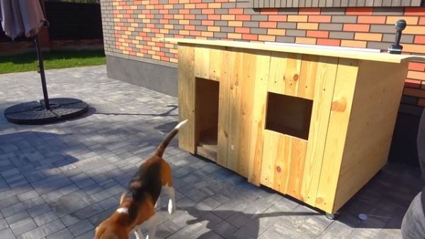 НОВОСЕЛЬЕ ШЕРЛОКА. ДРУЗЬЯ В ГОСТЯХ У ЩЕНКА. БРОС ШОУ ПЕТ