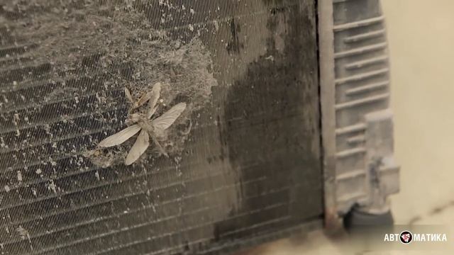 Строительные Изыски