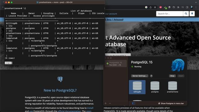 How to Change Password in PostgreSQL MacOS | Set Password in PostgreSQL - 2023 смотреть онлайн