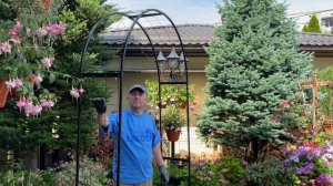 Арка садовая металлическая Unikit (231х123х35 см), делюсь опытом приобретения. Купить на OZON