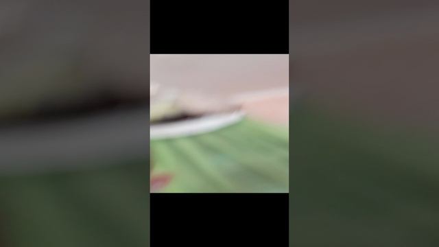 рум тур+показал лицо смотреть онлайн