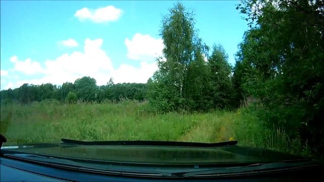 Рыбалка нахлыстом на лесном ручье. Псковская область. смотреть онлайн
