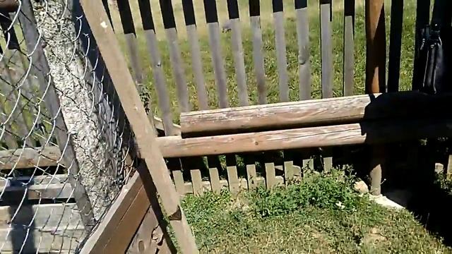 Ваня приехал на ферму буйволов смотреть онлайн