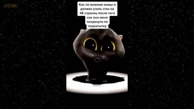 ТИКТОКУ ПОВЕЗЛО ПОВЕЗЛО мемы из тиктока #17 смотреть онлайн