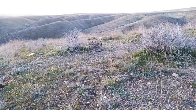 охота на Кеклик кабг курапатка смотреть онлайн