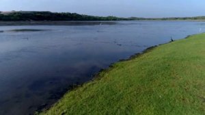 Крокодил - людоед. Густав, его боится вся Африка.