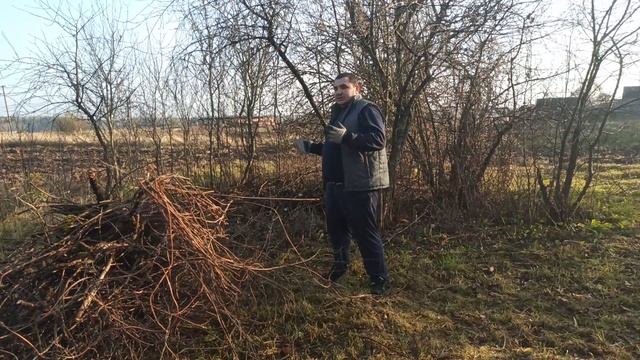 Купили дом в деревне/Убираем участок смотреть онлайн
