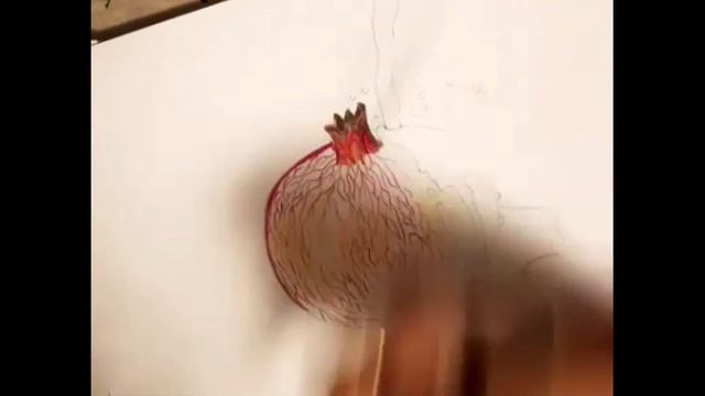 Pomegranate#Anar#sketch#colour pencil#3D#kidstutorials#age10 to 11 - Sonil Arts смотреть онлайн