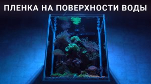 Апгрейд фильтра AQUAEL Versamax FZN-3 и как я избавился от бактериальной пленки на поверхности воды.