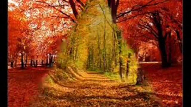 Начало работы с муви мейкер! смотреть онлайн