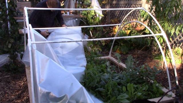 EZ Winter Gardening with 2 Layered Hinged Low Tunnel смотреть онлайн