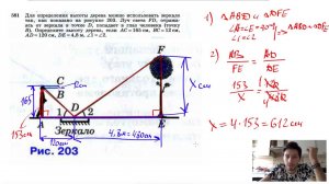 №581. Для определения высоты дерева можно использовать зеркало так, как показано на рисунке 203