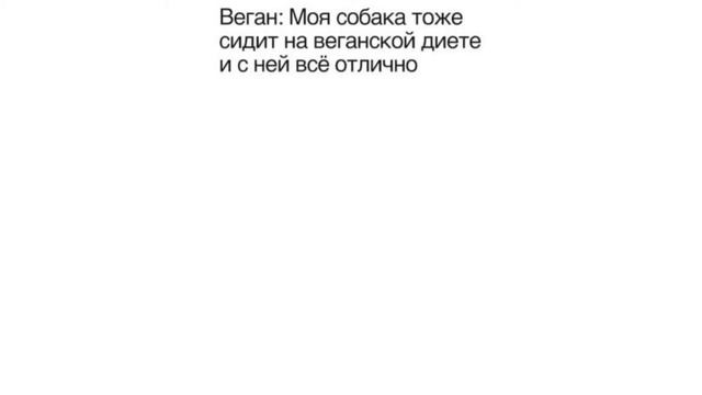 Свежие Мемы от Кабанчика 12 смотреть онлайн