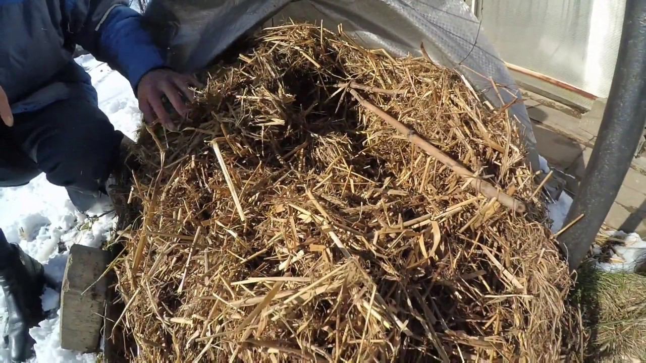 Виноградник ранней весной 2019. Виноградник Вадима Точилина смотреть онлайн