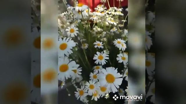 Поздравление с днём рождения коллегу! смотреть онлайн