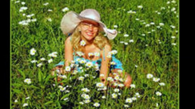 Полевые цветы