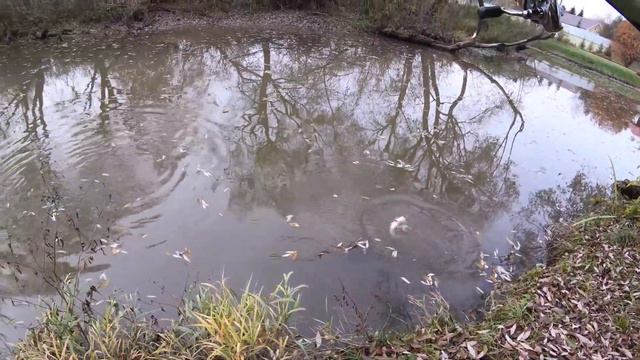 Парковая зона. Октябрьский микро-джиг смотреть онлайн