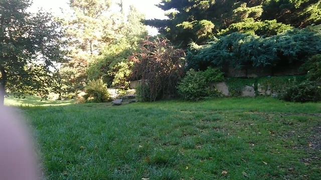 Ogród Botaniczny w Łodzi. Ботанічний сад в Лодзі. смотреть онлайн