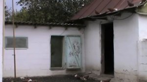 Николаевские голуби в Мариуполе.Старый Оскол.Беседы о голубях.