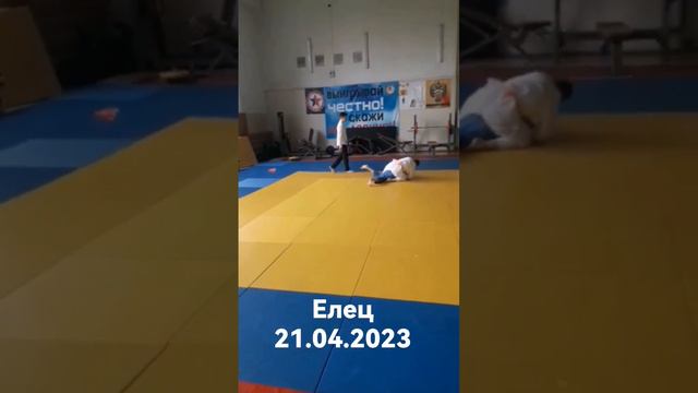 Дзюдо Елец 21.04.2023 девочки до 11 лет 36 кг смотреть онлайн