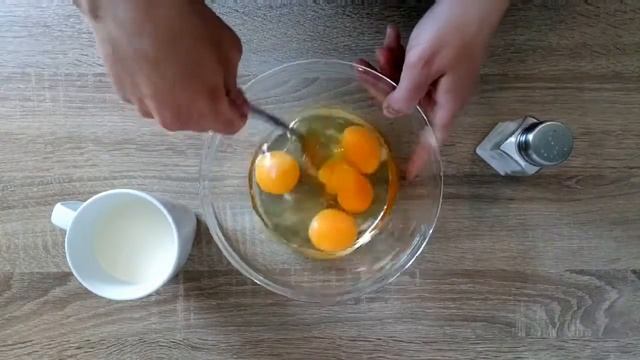 Животные в Зоопарках