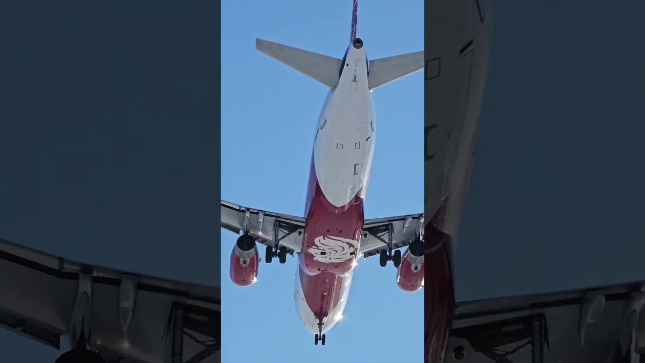 Airbus A320 #short #shorts #airbus #fly #sky смотреть онлайн