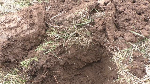 Забытая церковь, поиск монет! 32 смотреть онлайн